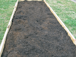 My First Raised Garden Bed