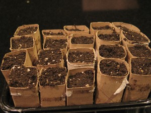 Filled Toilet Paper Pots Filled and ready to go